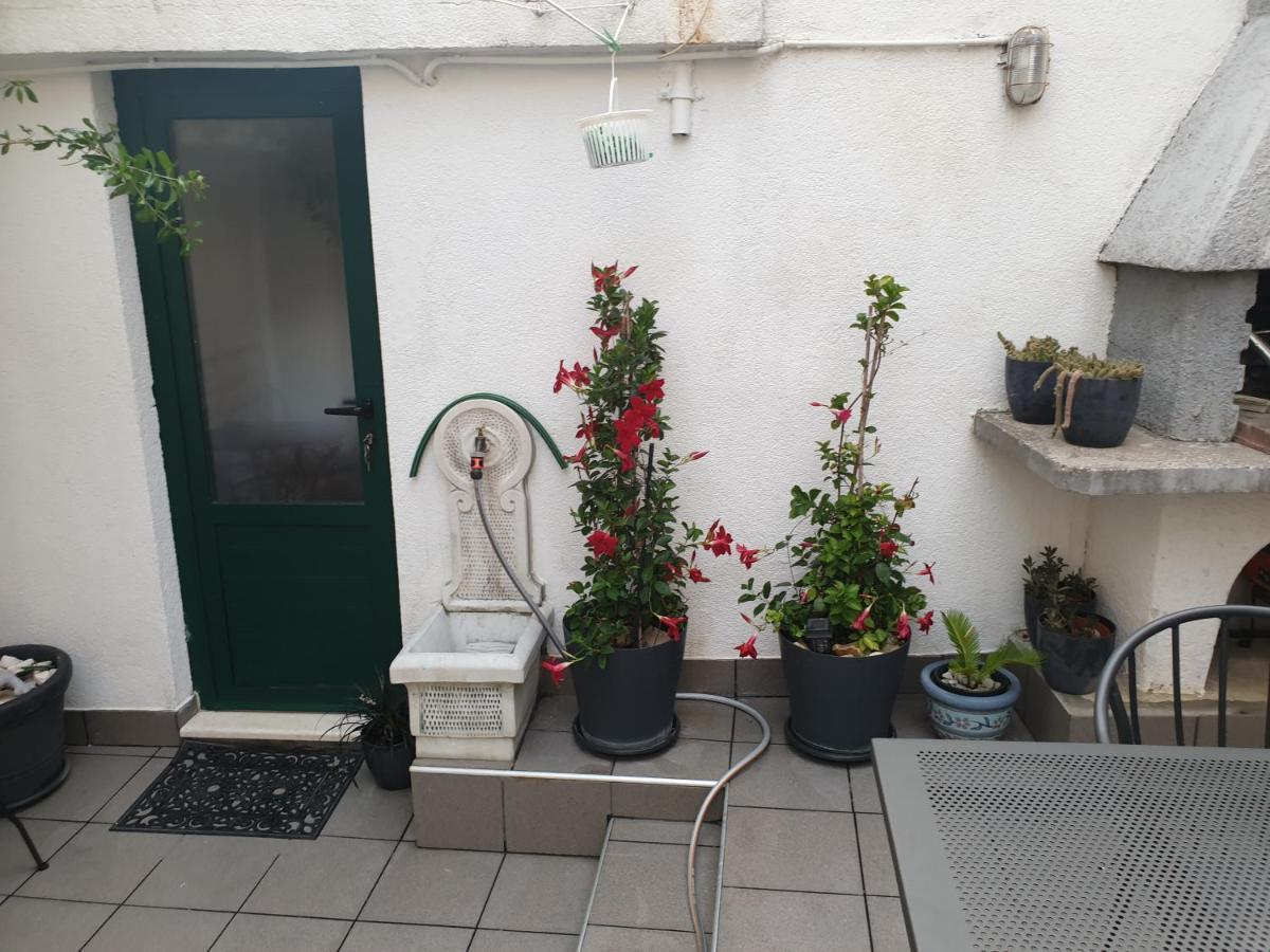 Pensión Lemon Tree 3*