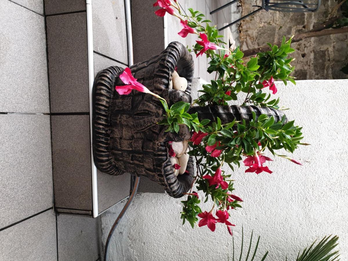 Lemon Tree Guest house